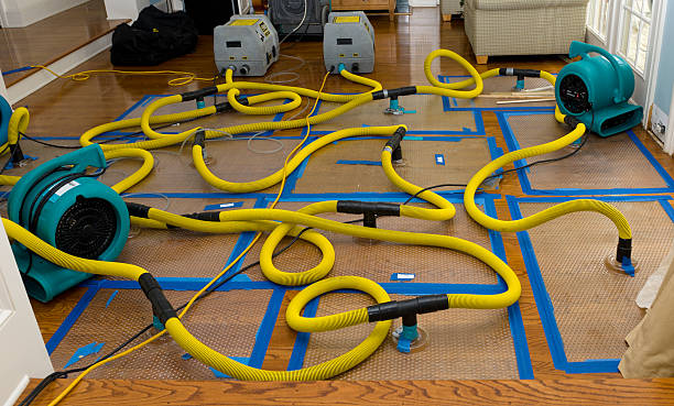 Professional Storm Water Damage Restoration technician working in Dayton, NV